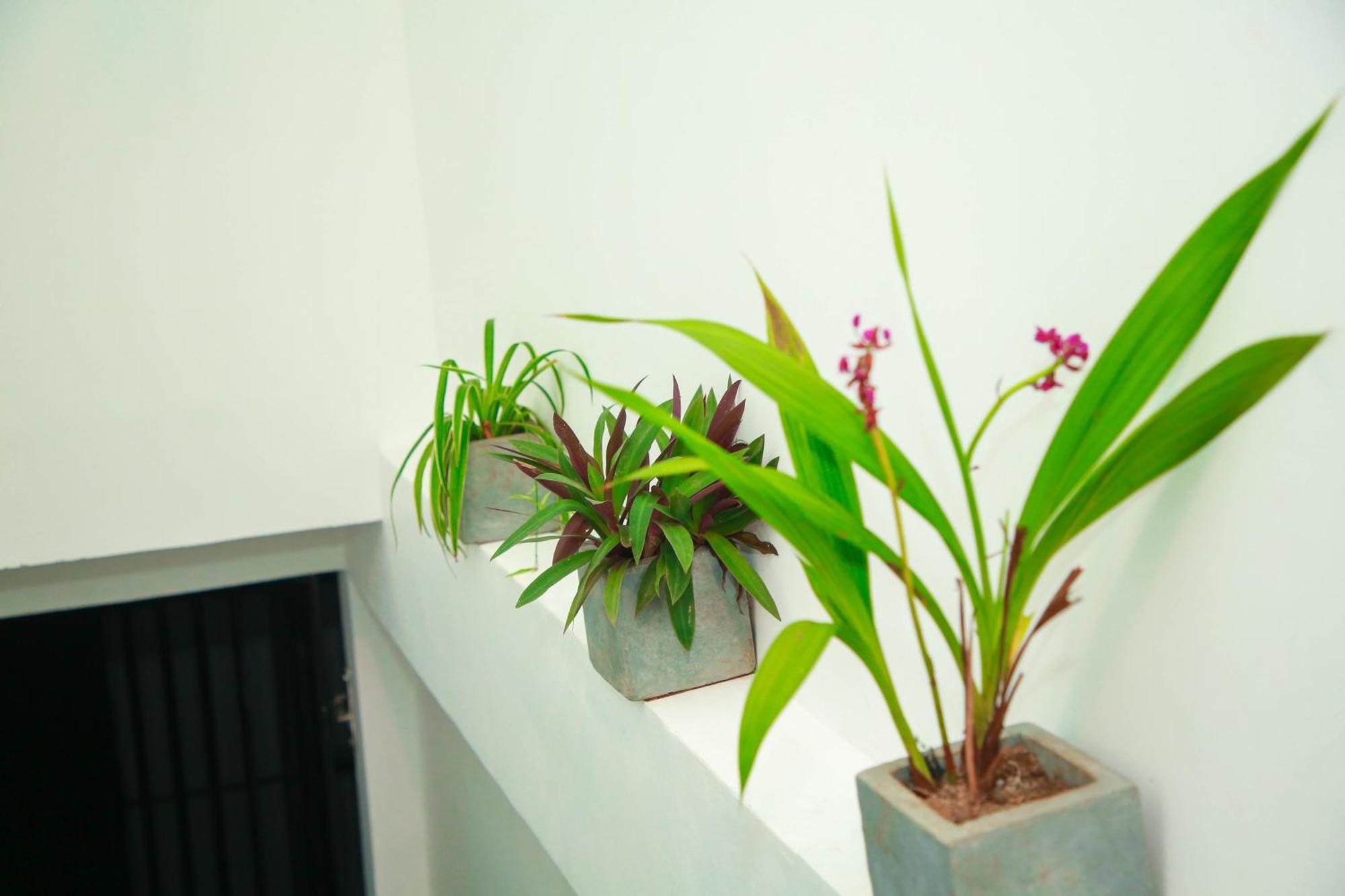 Samee Dream Guest Hotel Midigama East Ngoại thất bức ảnh